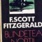 Blindetea noptii F. Scott Fitzgerald