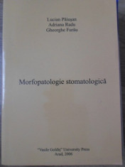 MORFOPATOLOGIE STOMATOLOGICA - LUCIAN PAIUSAN, ADRIANA RADU, GHEORGHE FURAU foto