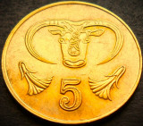 Moneda exotica 5 CENTI - CIPRU, anul 1994 * cod 3421 B