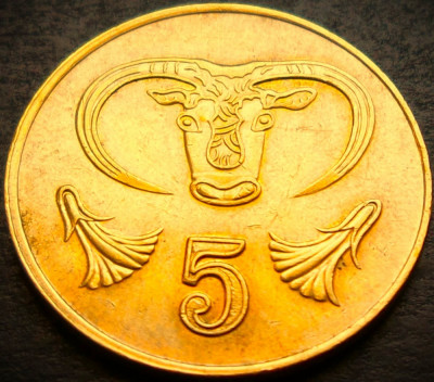 Moneda exotica 5 CENTI - CIPRU, anul 1994 * cod 3421 B foto