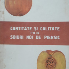 CARTEA ~ CANTITATE SI CALITATE PRIN SOIURI NOI DE PIERSIC - G. STANCIU, 1970