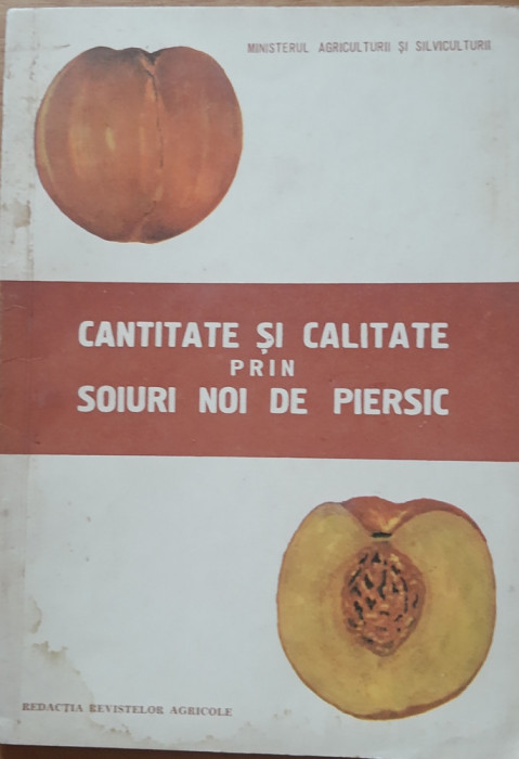 CARTEA ~ CANTITATE SI CALITATE PRIN SOIURI NOI DE PIERSIC - G. STANCIU, 1970