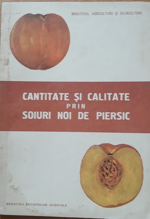 CARTEA ~ CANTITATE SI CALITATE PRIN SOIURI NOI DE PIERSIC - G. STANCIU, 1970