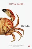 Crudo - Paperback brosat - Olivia Laing - Curtea Veche