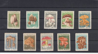 ROMANIA 1958 LP 457 CIUPERCI COMESTIBILE SERIE MNH foto