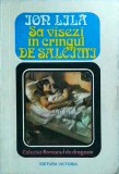 Ion Lila - Sa visezi in crangul de salcami