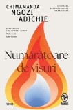 Numaratoare de visuri - Chimamanda Ngozi Adichie, Trei