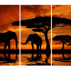 Tablou multicanvas 3 piese Elefanti 2, 120 x 80 cm