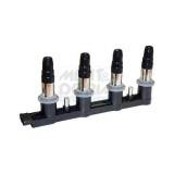 Meat &amp;amp; Doria bobina de inductie