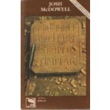 Mai mult decit un simplu timplar