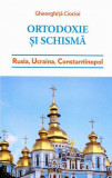 Ortodoxie si schisma | Gheorghita Ciocioi