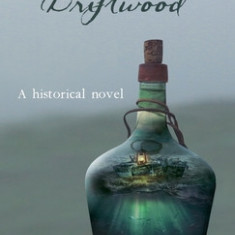 Saltwater and Driftwood: A Historical Novel