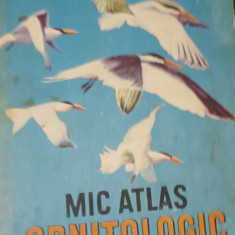MIC ATLAS ORNITOLOGIC