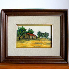 Casa la tara - Miniatura originala ulei pe carton panzat cu passepartout 26x21cm