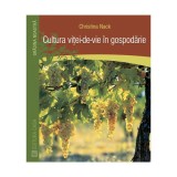 Cultura vitei-de-vie in gospodarie - Christina Nack