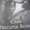 CAND TRECUTUL REVINE LORENA LENN