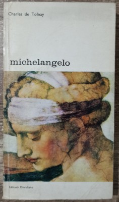 Michelangelo - Charles de Tolnay foto