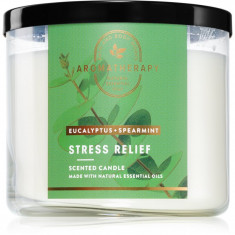 Bath & Body Works Eucalyptus Spearmint lumânare parfumată Stress Relief 411 g