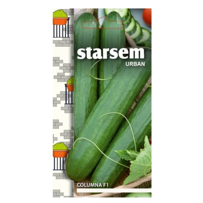 Seminte legume Starsem, castraveti lungi Columna F1 foto