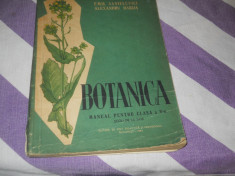 Botanica manual cls a V-a scoli de la sate- E. Sanielevici, Al. Dabija,1961 foto