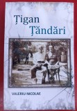 (C528) VALERIU NICOLAE - TIGAN TANDARI (COPERTA ARE O MICA PATA) - MAI RARA