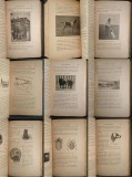 1929 CAINII NOSTRI Rase Dresaj Inmultire Igiena Boli 428 pg 164 fig Medicina Veterinara Anatomie Caini de vanatoare curse companie tractiune Bailliere
