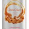 Monin Caramel Topping 500 ml
