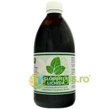 Clorofila Lichida 500ml