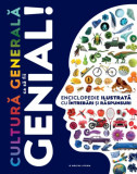 Cultură generală ca să fii genial! - Hardcover - Roxana I. Nicolescu - Litera