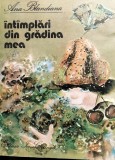 INTAMPLARI DIN GRADINA MEA ANA BLANDIANA