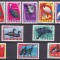 DB1 Fauna Pasari Congo 1963 14 v. MNH