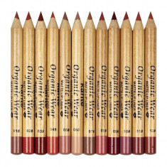 Set creioane de buze Lip Max, 12 culori foto
