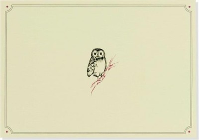 Owl Note Cards foto