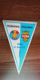 M3 C7 - Tematica sport - fotbal - Romania - Polonia - 27 martie - Sibiu