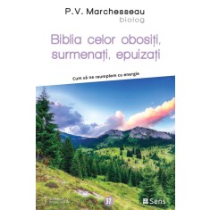 Biblia celor obositi, surmenati, epuizati