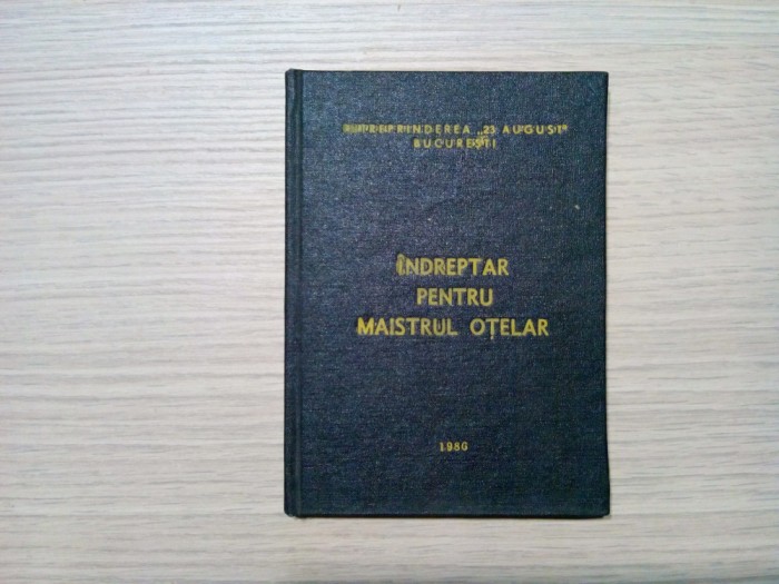 INDREPTAR PENTRU MAISTRUL OTELAR - Mihai Sofronie, Gheorghe Surlea - 1986, 175p.