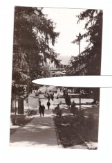 CP Slanic Moldova - Vedere din statiune, RSR, circulata 1966, stare foarte buna