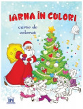 Iarna &icirc;n culori. Carte de colorat - Paperback - *** - Didactica Publishing House