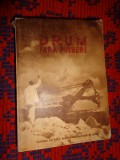 Drum fara pulbere - Petru Dumitriu ( roman / canalul Dunare - Marea Neagra )