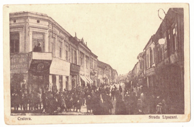 3436 - CRAIOVA, stores, Lipscani street, Romania - old postcard - unused foto