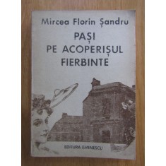 Mircea Florin Sandru - Pasi pe acoperisul fierbinte