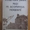 Mircea Florin Sandru - Pasi pe acoperisul fierbinte