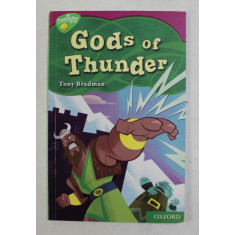 GODS OF THUNDER by TONY BRADMAN , 2010