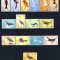 BRITISH INDIAN OCEAN TERRITORY 1975 FAUNA PASARI