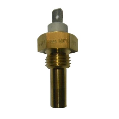 Sonda temperatura MAN foto