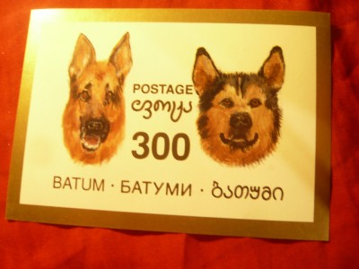 Bloc Batumi 1994 - Caini - Ciobanesc German si Husky Alsacian foto