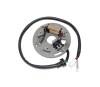 Stator Yamaha YZ 250 90- 95, WR 250 90-97, Electrosport