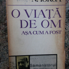 N. Iorga - O viata de om, asa cum a fost