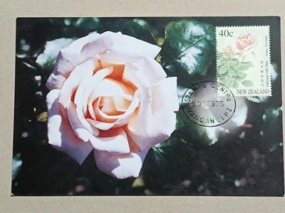 Noua Zeelanda 1997 - trandafiri, CarteMaxima foto