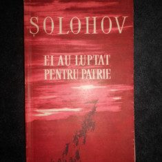 Mihail Solohov - Ei au luptat pentru patrie